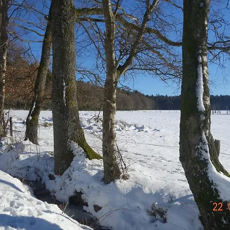 Quick's Semesterbostad Roetgen