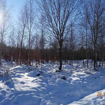 Quick's Ferienhaus Roetgen