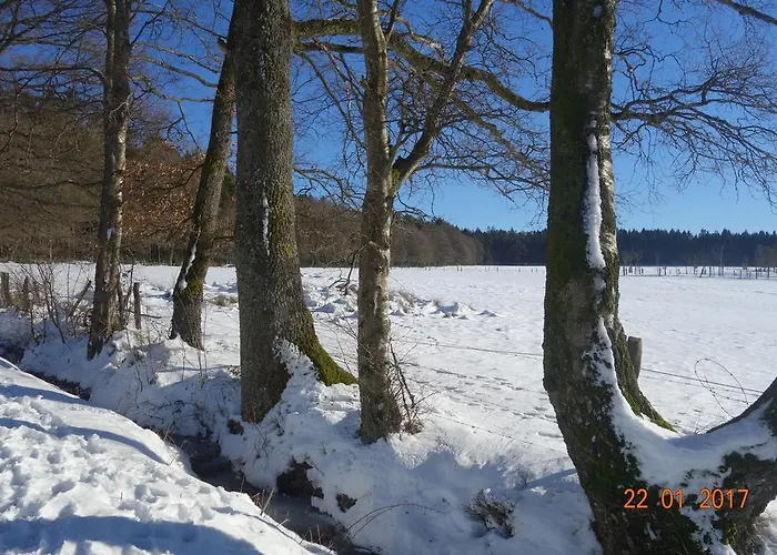 Quick's Tatil Evi Roetgen