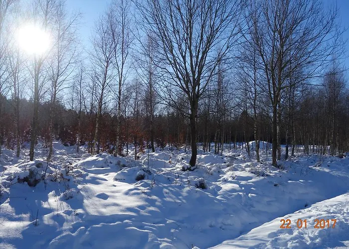 Quick's Tatil Evi Roetgen